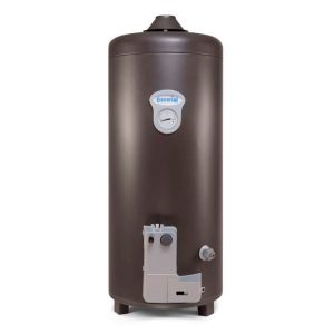 Termotanque a gas Escorial 80 Litros Geiser